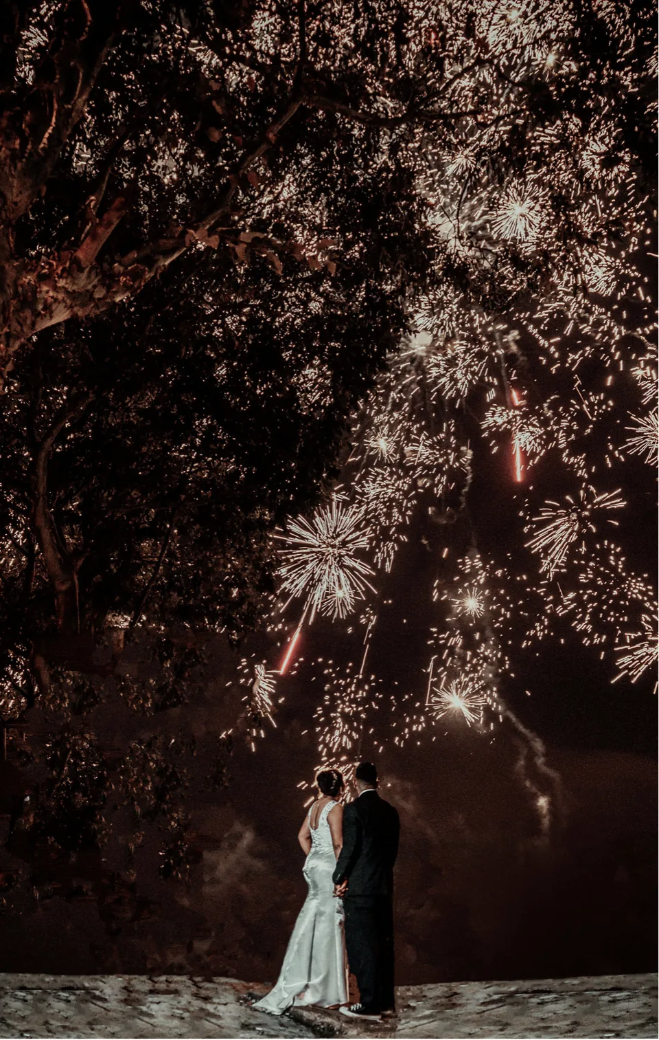 La pareja bajo un gran árbol